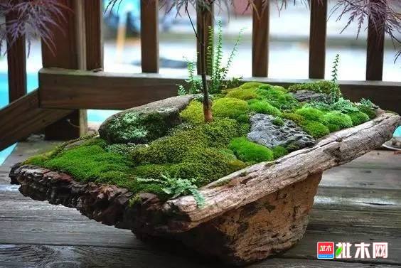 批木网 anywood.com