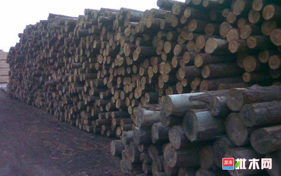 批木网 anywood.com