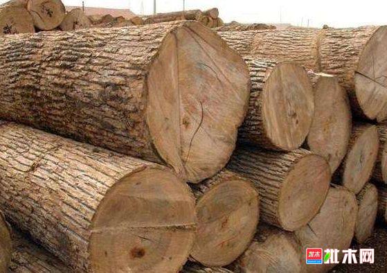 批木网 anywood.com