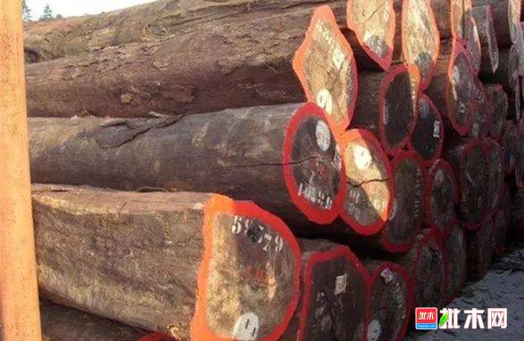 批木网  anywood.com