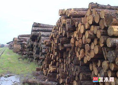 批木网 anywood.com