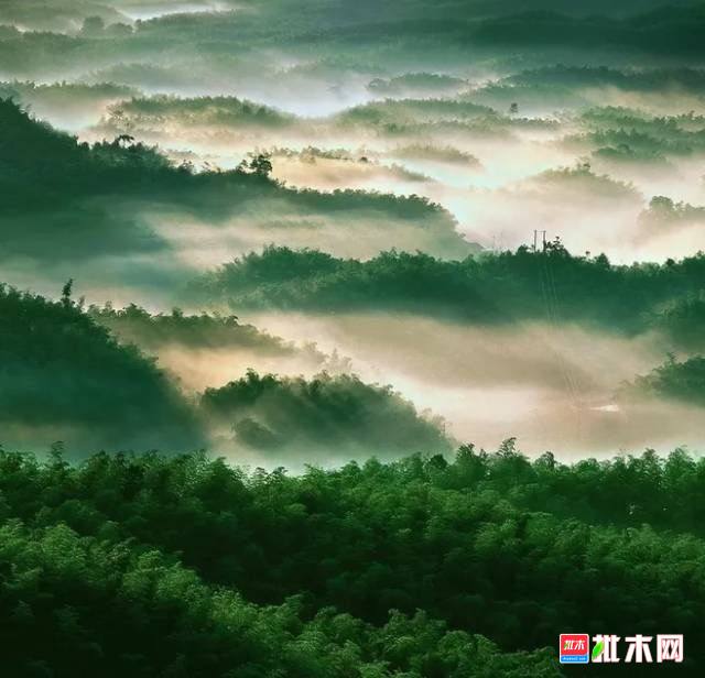 批木网 anywood.com