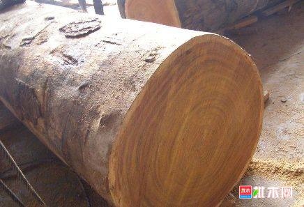 批木网 anywood.com