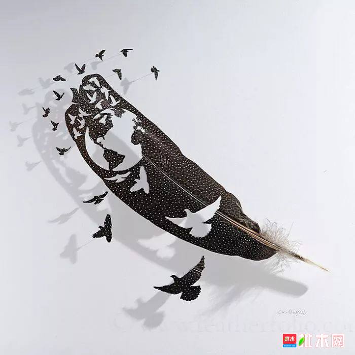 批木网 anywood.com