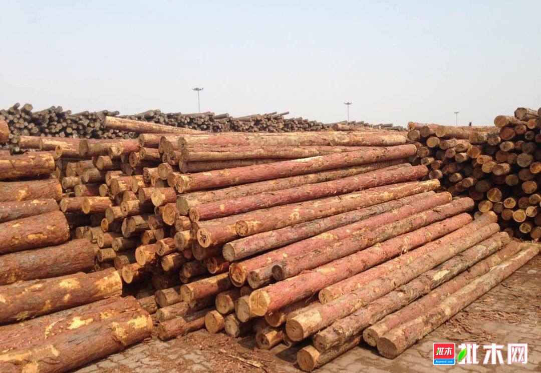 批木网anywood.com