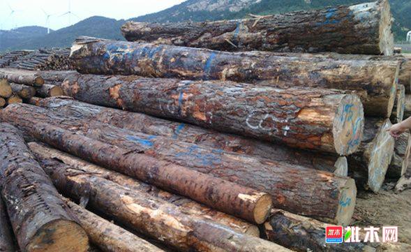 批木网 anywood.com