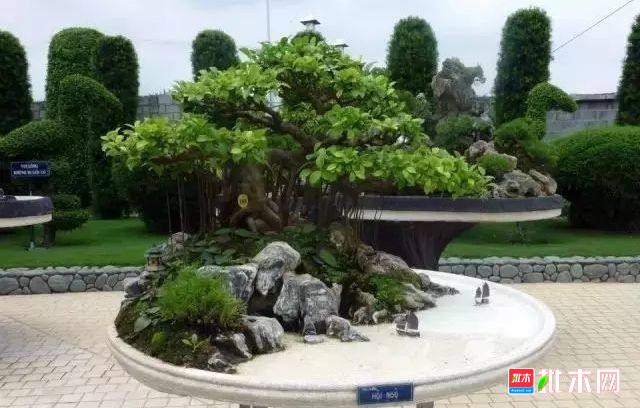 批木网 anywood.com