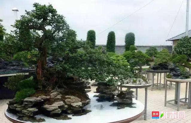 批木网 anywood.com