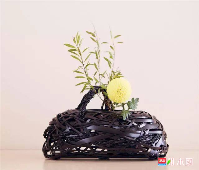 批木网 anywood.com