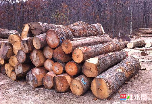 批木网 anywood.com