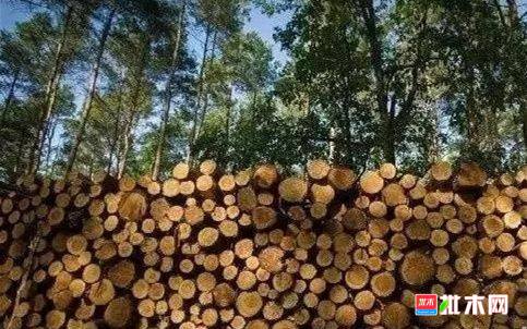 批木网 anywood.com