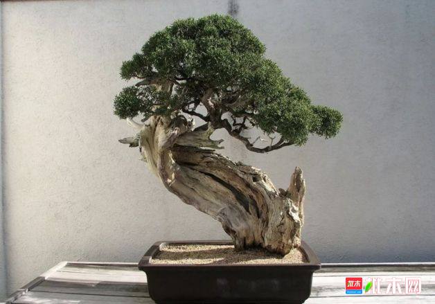 批木网 anywood.com