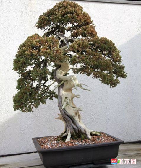 批木网 anywood.com