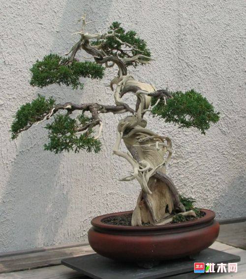批木网 anywood.com