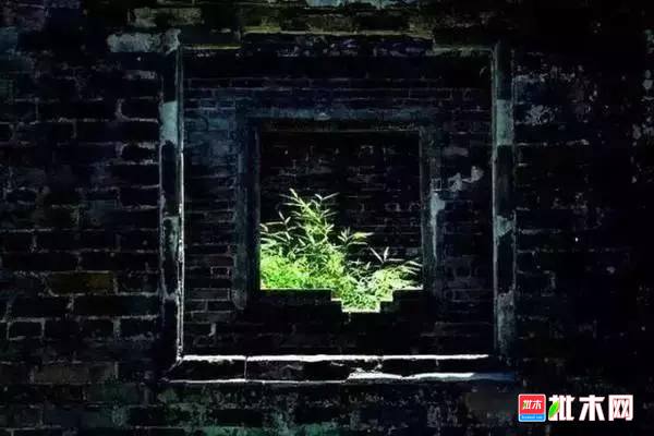 批木网 anywood.com