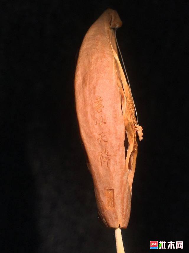 批木网 anywood.com