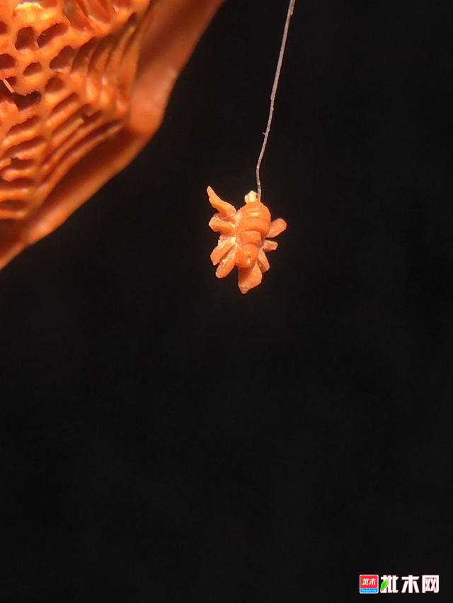 批木网 anywood.com