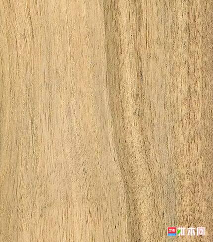 批木网 anywood.com