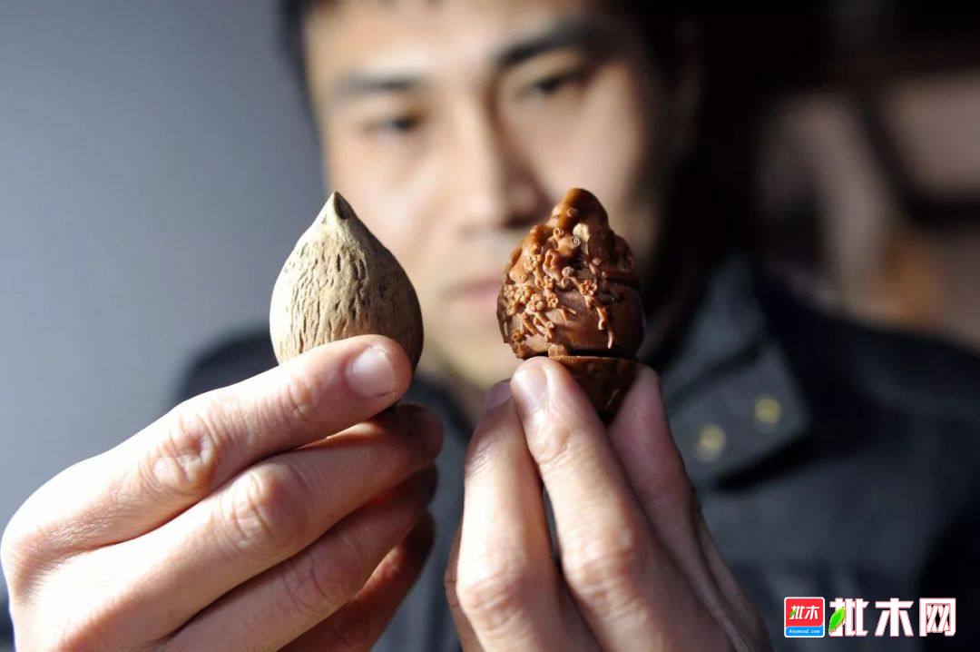 批木网 anywood.com
