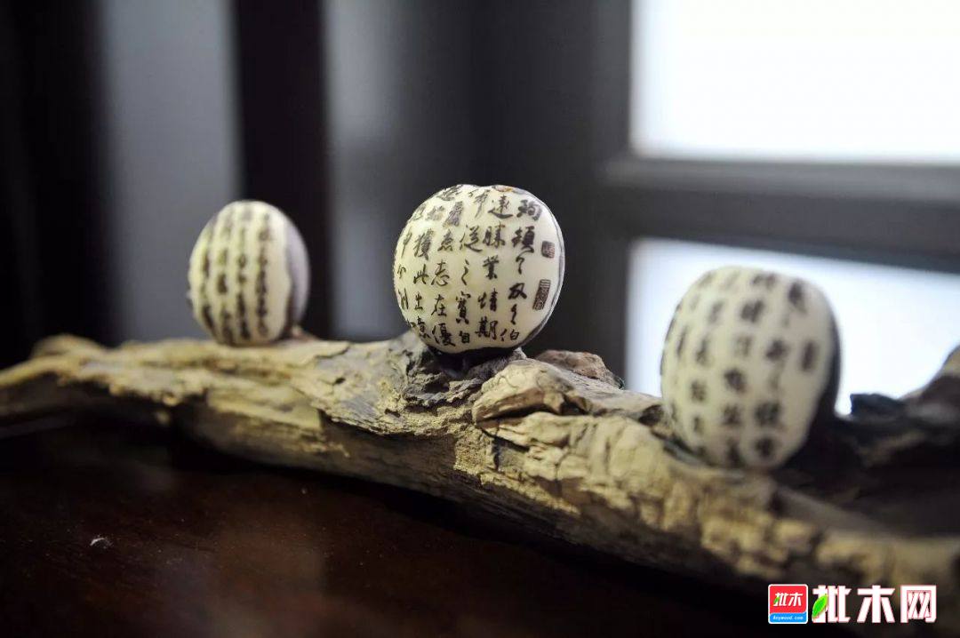 批木网 anywood.com