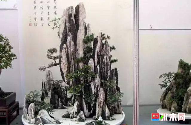 批木网 anywood.com