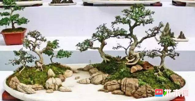 批木网 anywood.com