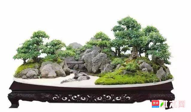 批木网 anywood.com