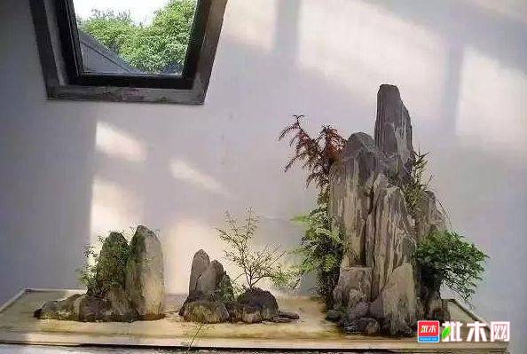 批木网 anywood.com