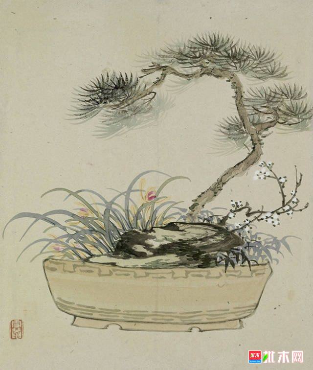 批木网 anywood.com