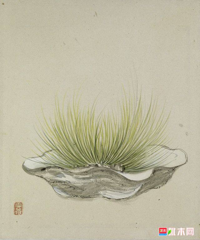 批木网 anywood.com