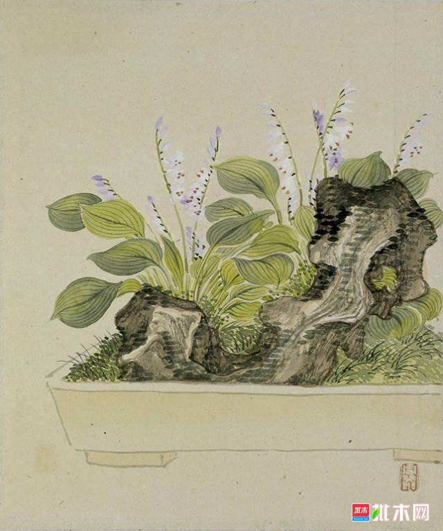 批木网 anywood.com