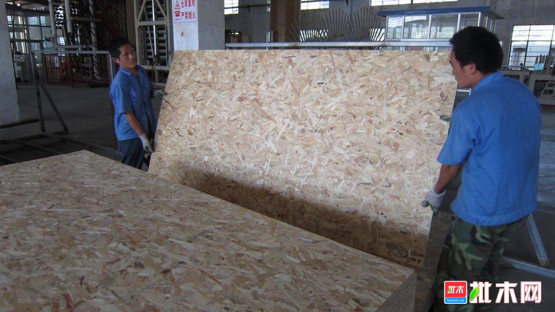 批木网anywood.com