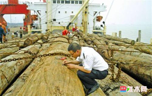 批木网 anywood.com
