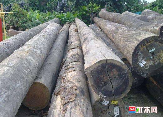 批木网 anywood.com