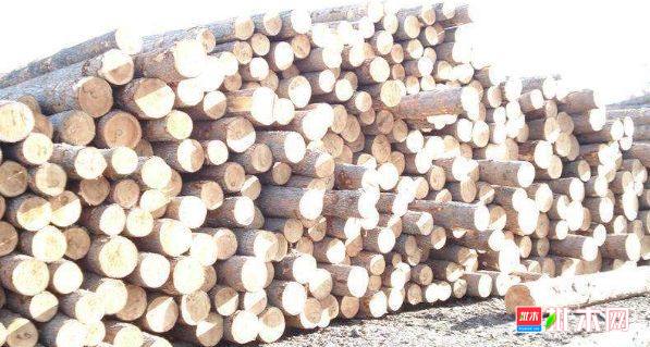 批木网 anywood.com