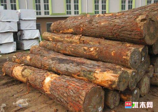 批木网 anywood.com