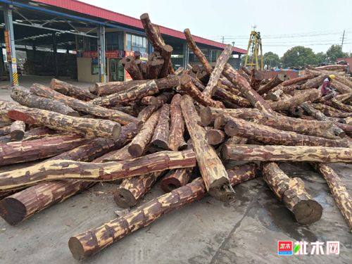 批木网anywood.com