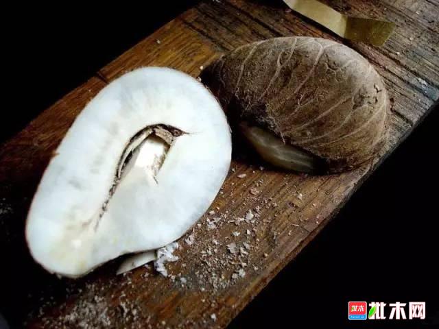 批木网 anywood.com