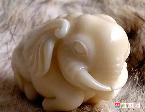 批木网 anywood.com