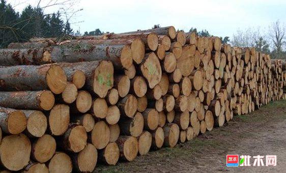 批木网 anywood.com