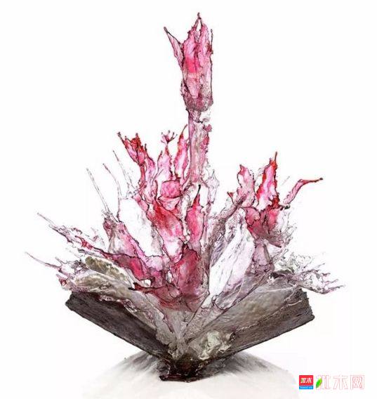 批木网 anywood.com
