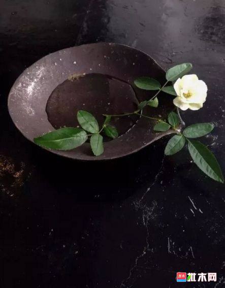 批木网 anywood.com