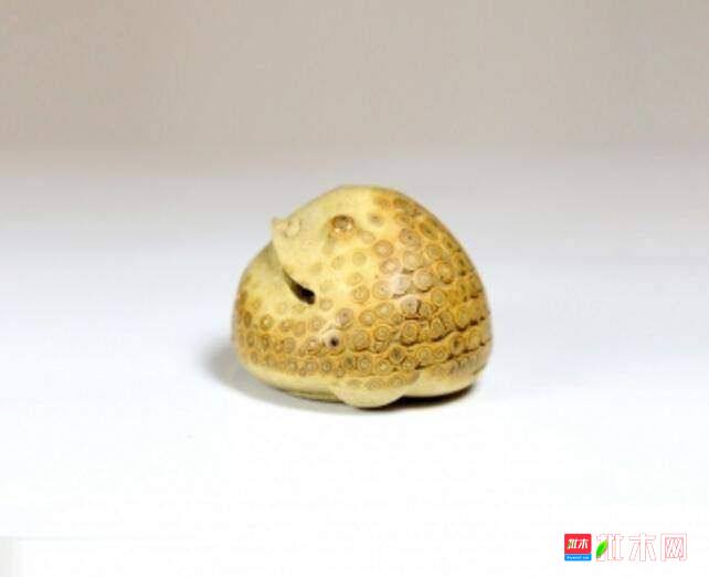 批木网 anywood.com