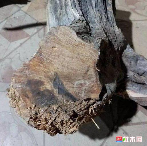 批木网 anywood.com