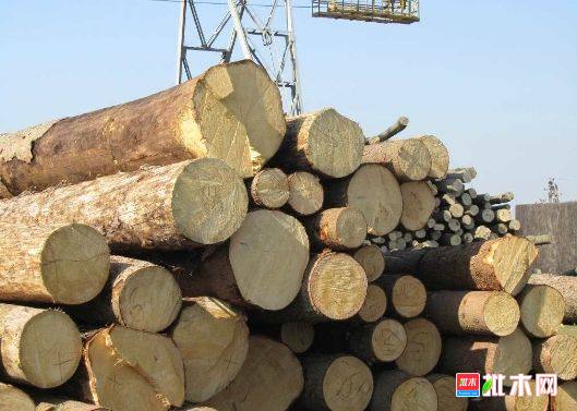 批木网 anywood.com