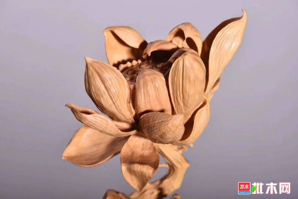批木网 anywood.com