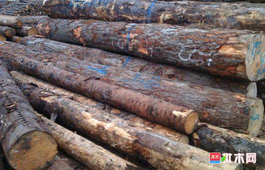 批木网 anywood.com