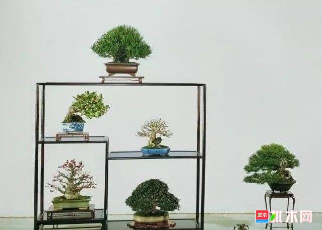 批木网 anywood.com