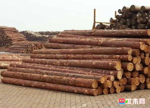 批木网 anywood.com