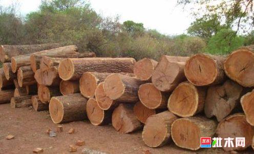 批木网 anywood.com
